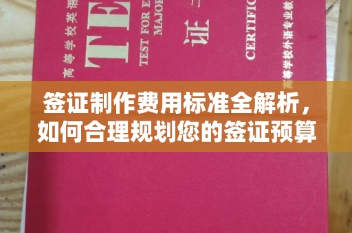 歙县签证制作费用标准全解析，如何合理规划您的签证预算？